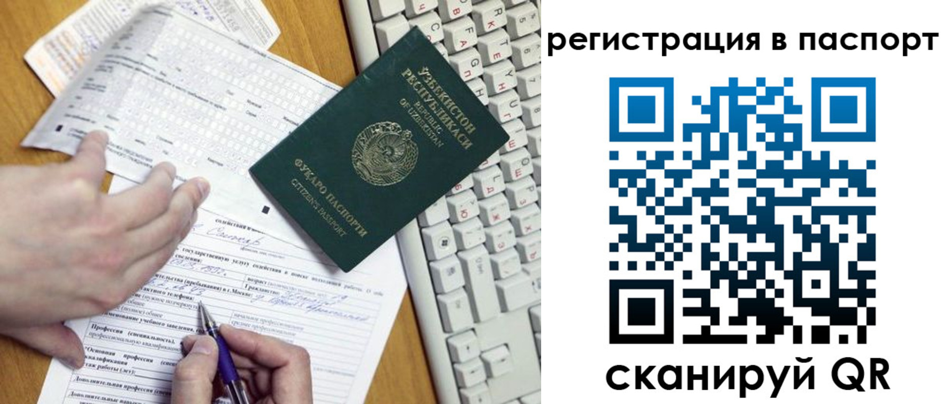 прописка поиск в Сольцах